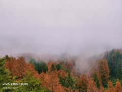 -山王坪喀斯特国家生态公园