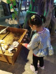 -酷嗒动物文化乐园(cutezoo西溪乐天城店)