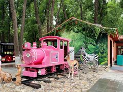 -北京野生动物园