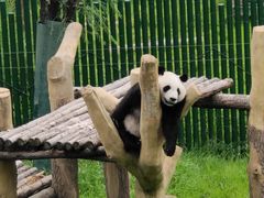 -沈阳森林动物园