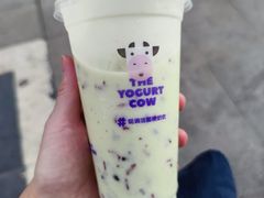 -鲜芋仙(国和店)