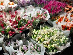 -循礼门鲜花花市(武汉循礼门店)