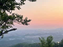 -紫金山山顶公园