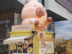 -首开·龙湖成都西宸天街