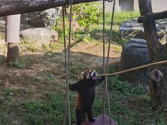 -杭州野生动物世界