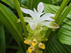 -广州神农草堂中医药博物馆
