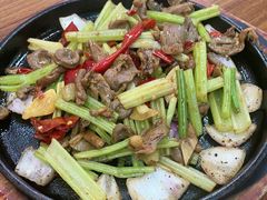 铁板鸡杂-谢记上海大排档(长寿路店)