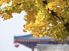 -大雁塔文化休闲景区-北广场