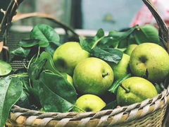 -云河农家乐饭店(福禄缘树山店)