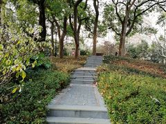 -徐家汇源景区-衡山公园
