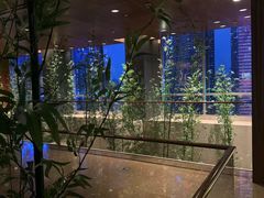 -广州富力君悦大酒店空中花园