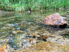 -碓臼峪自然风景区