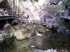 -牛背梁国家森林公园