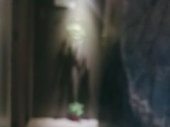-禧瑞 ·丝浴主题·水疗·spa(中山公园店)