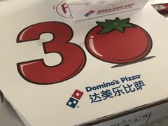 -达美乐比萨(武定店)
