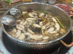 -乳仔牛牦牛汤锅 烤羊排(松潘古城店)