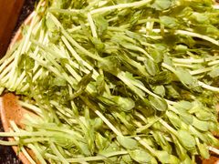 -盡膳口福跷脚牛肉火锅(北美新天地店)