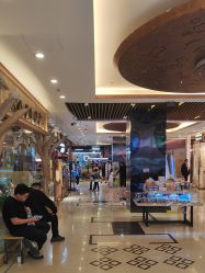 -卡通尼·Safari非洲探索乐园·生日会(金桥国际商业广场店)