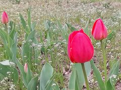 -长春公园(普阳街道)