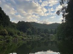 -深圳仙湖植物园