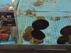 -苏先生海鲜渔庄(金桥店)