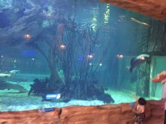 -华夏文旅海洋公园