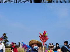 -野狸岛