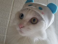 -秋叶原电器街