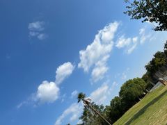 -盘龙城国家考古遗址公园