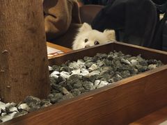 -同仁四季椰子鸡(无锡滨湖万象汇店)
