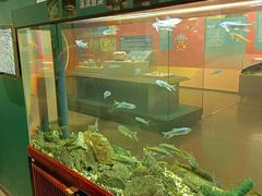 -浙江自然博物院(杭州馆)
