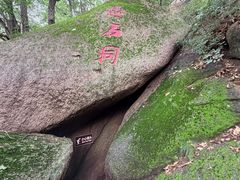 -六里坪国家森林公园