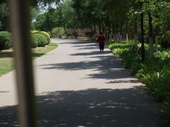 -永定河休闲森林公园