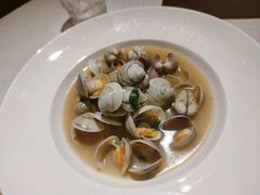 -一棵树·意大利西餐厅One Tree(新城店)