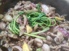 沙姜鸡杂-汤氏美食台山水步特色黄鳝饭(龙津东路店)
