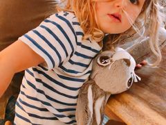 大堂-RAC BAR(安福路店)