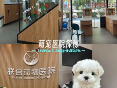 -联合动物医院(光谷诊疗中心)