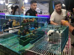 -大学城夜市