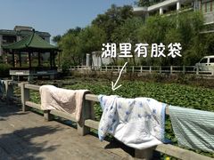 古港花园-黄埔古港