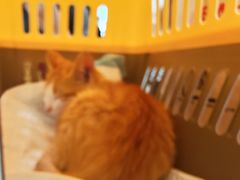 -万达广场(龙湖店)