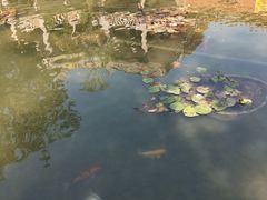 -晋江五店市传统文化旅游区