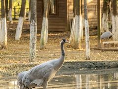 -艾溪湖湿地公园