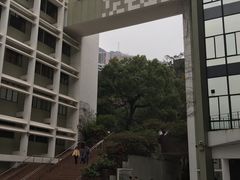 -香港大学
