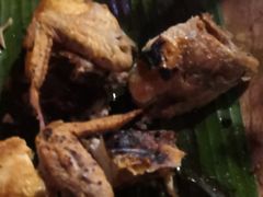 -Naughty Nuri’s Phuket
