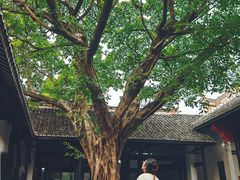 -白帝城·瞿塘峡景区