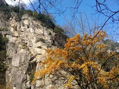 -青峰峡国家森林公园