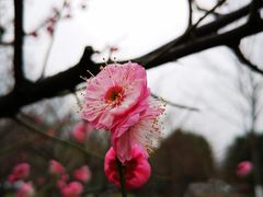 -苏州独墅湖世尊酒店
