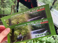 -大奇山国家森林公园