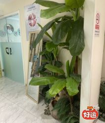 -健身堂科技美肌SPA
