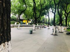 -常州古运河南大街文化旅游区-人民公园